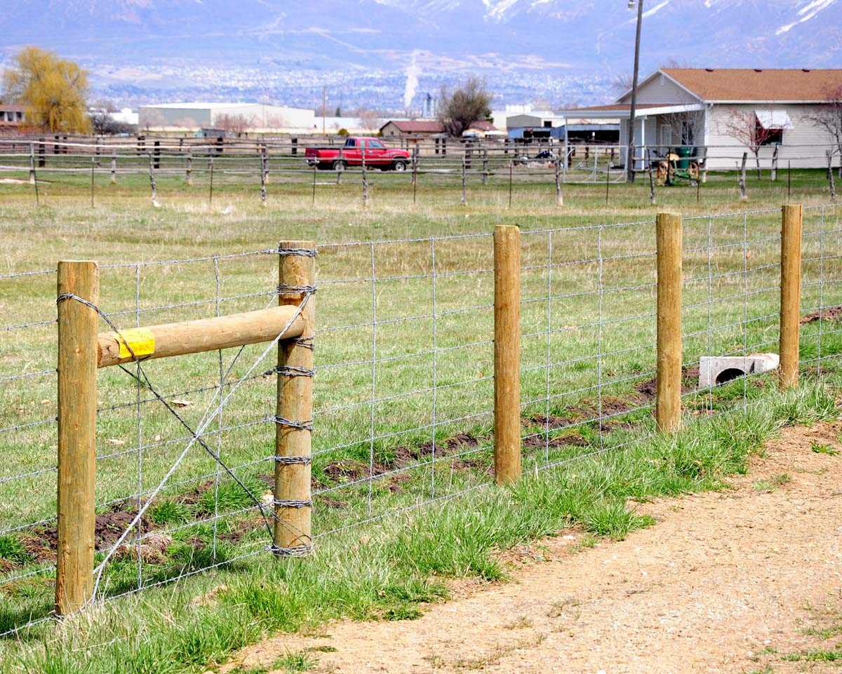 Singleton Fence Barbed Wire Fence with regard to proportions 1200 X 961