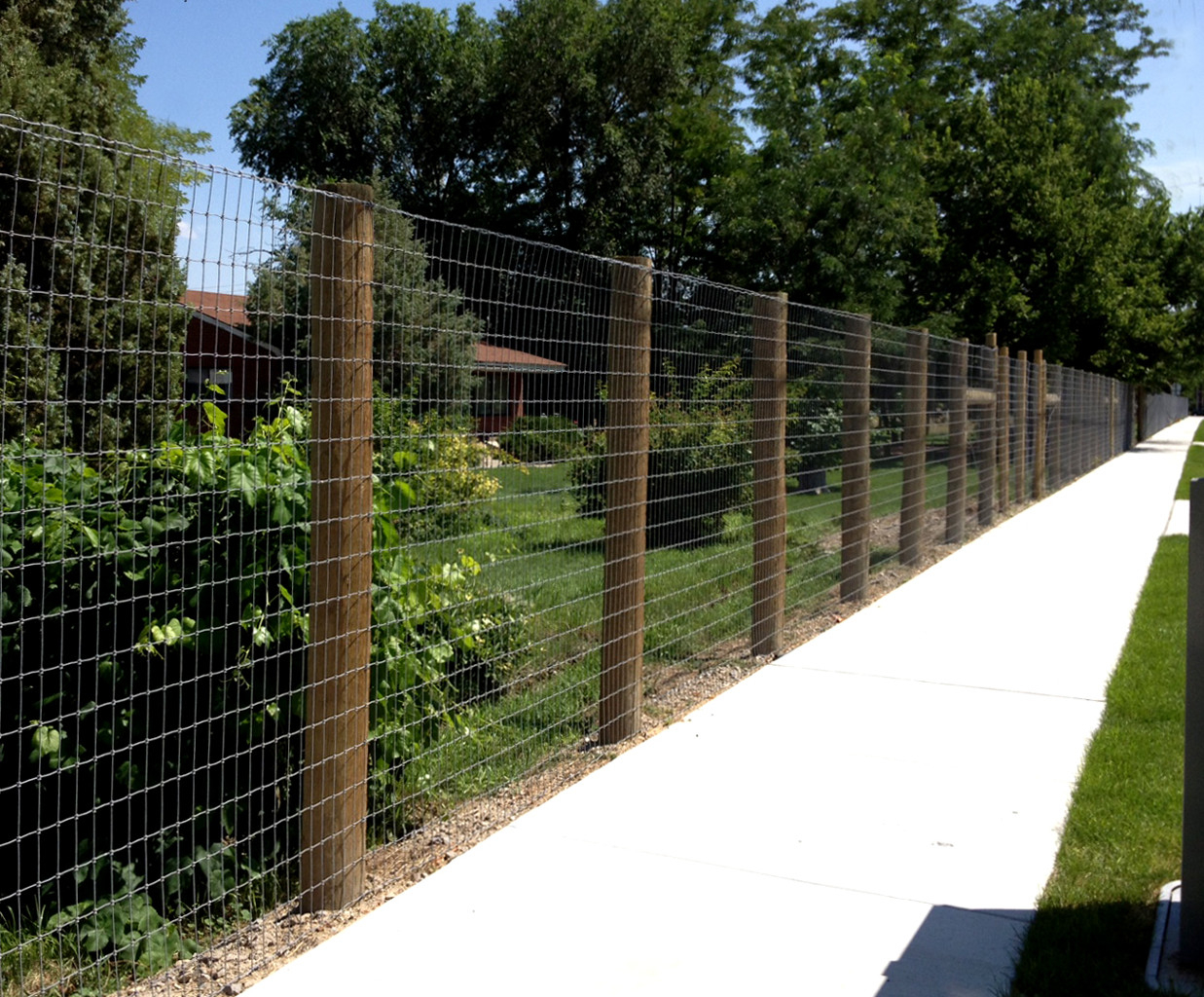 Singleton Fence Noclimbfence with size 1237 X 1024