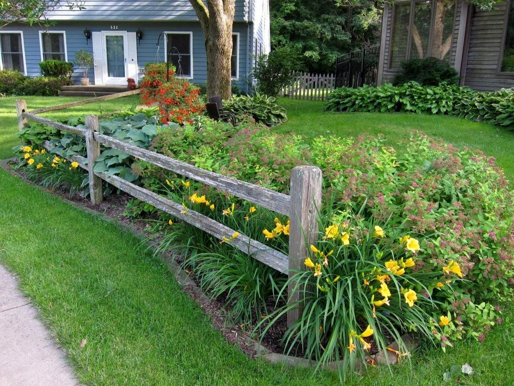 Split Rail Fence Stella Doro Daylilies And Spirea In The for sizing 1024 X 768