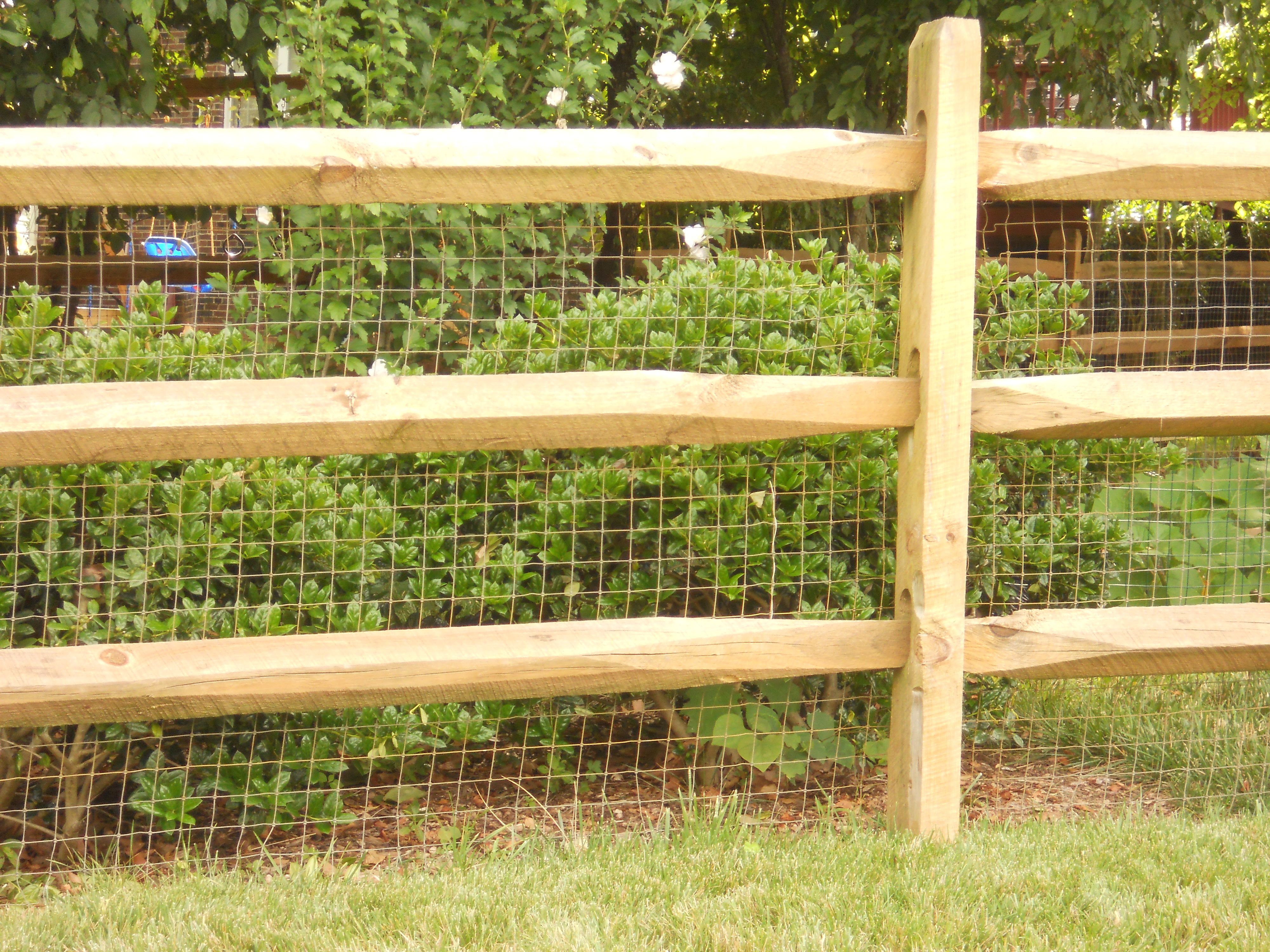 Split Rail Fence W Wire Behindcreate Area That The Animals Can pertaining to size 4000 X 3000