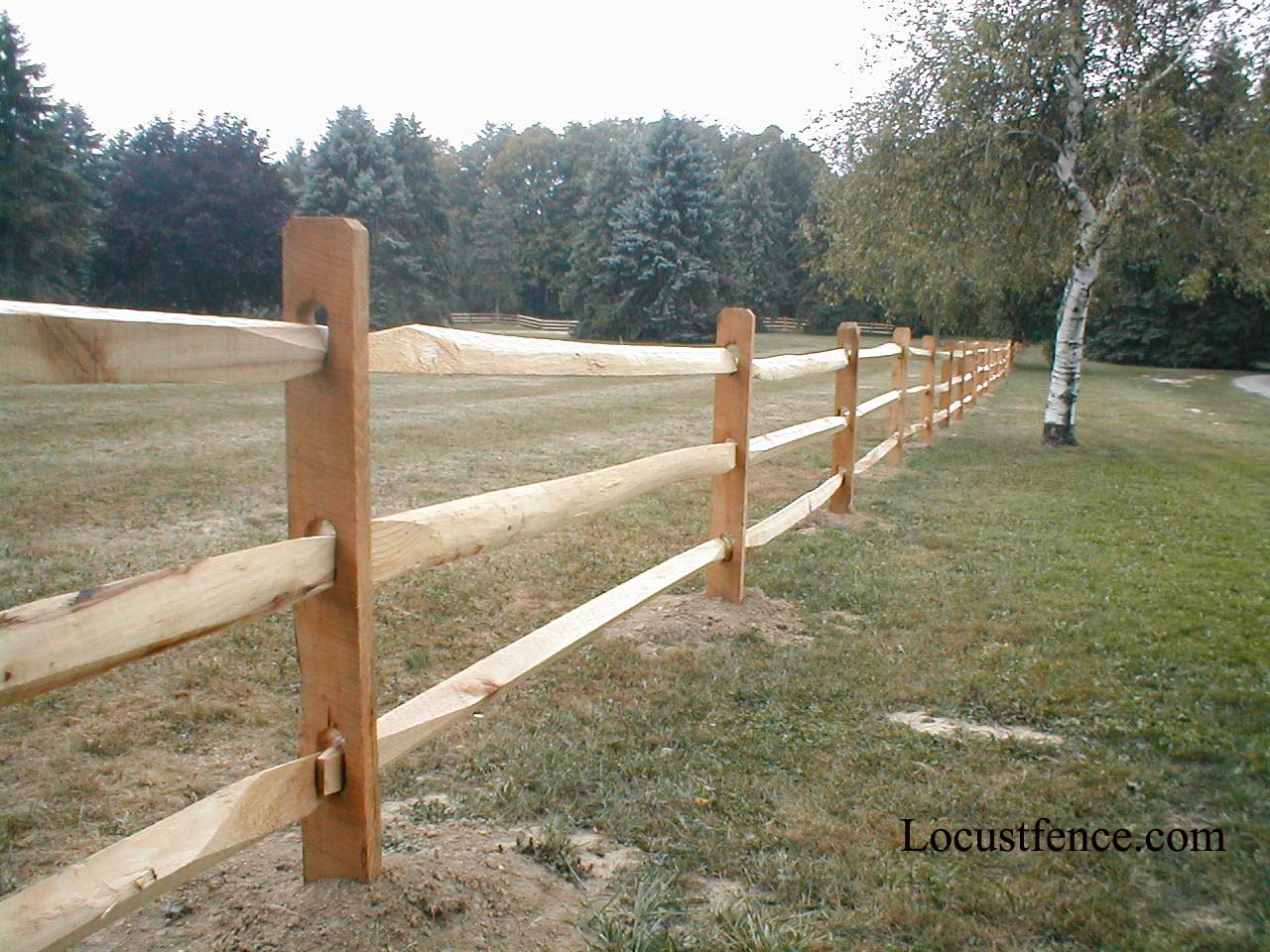 Split Rail Fence Wood Types Fences Design for dimensions 1280 X 960