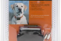 Sportdog Sdf R In Ground Fence Add A Dog Collar Receiver Chewy throughout size 1167 X 1500