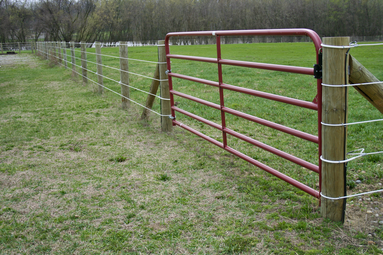 Spring Horse Turnout Checklist Electric Fence Tester Gate Latches for size 1296 X 864