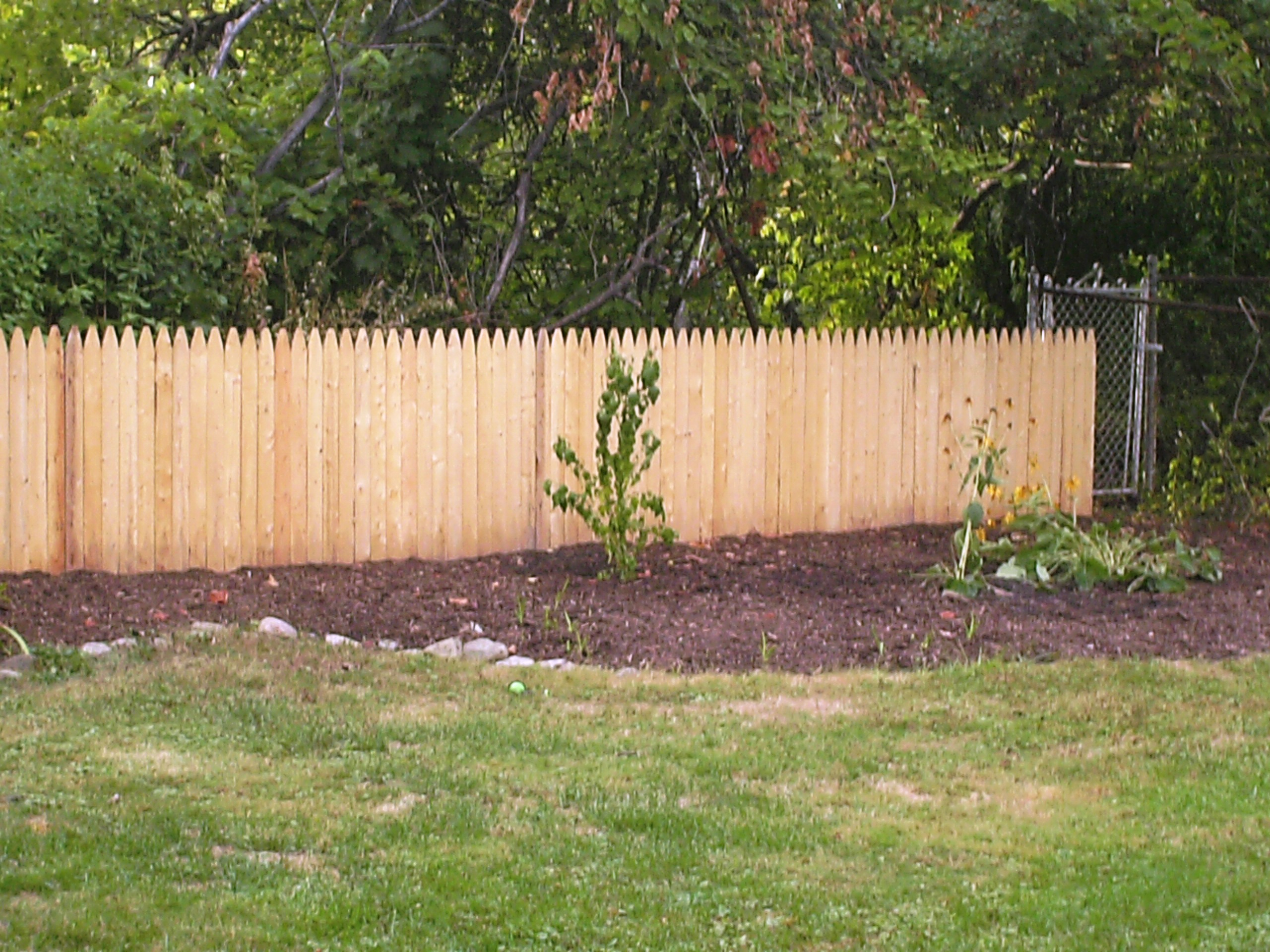 Spruce Sadler Fence And Staining Llc in measurements 2560 X 1920