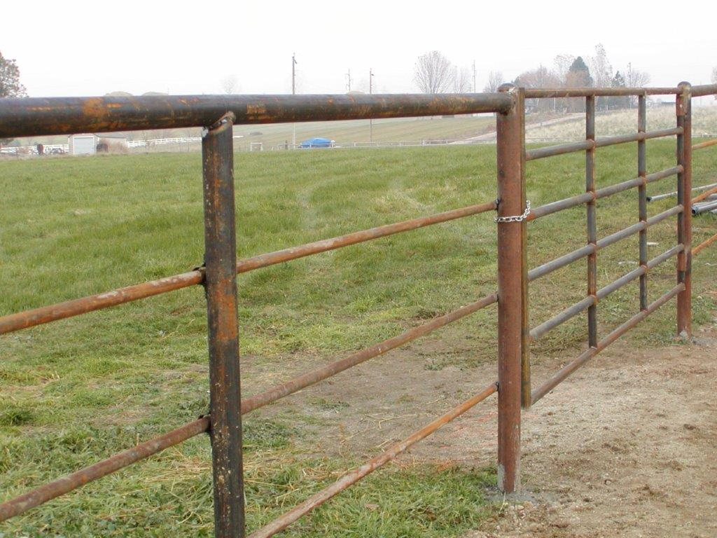 Steel Fence Steel Pipe Supplier Bison Pipe And Supply in sizing 1024 X 768