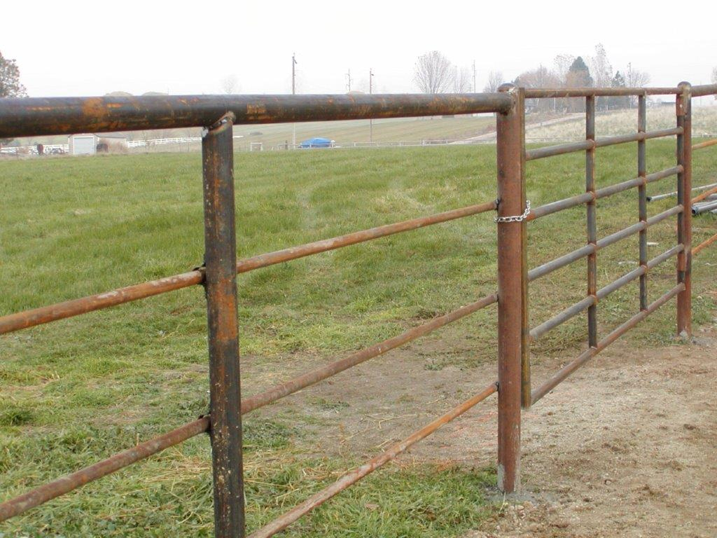 Steel Fence Steel Pipe Supplier Bison Pipe And Supply regarding sizing 1024 X 768