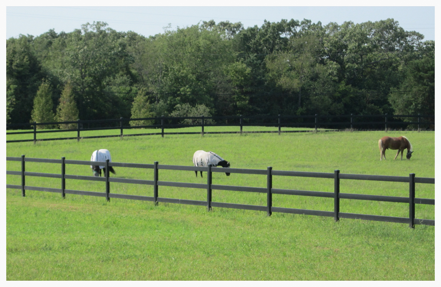 Steel Fence throughout size 1407 X 916