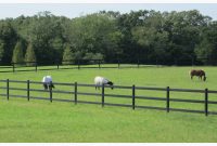 Steel Fence with regard to dimensions 1407 X 916