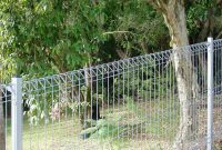 Steel Mesh Fencing Welded Wire Mesh Sheets For Fence Panels pertaining to dimensions 1138 X 711