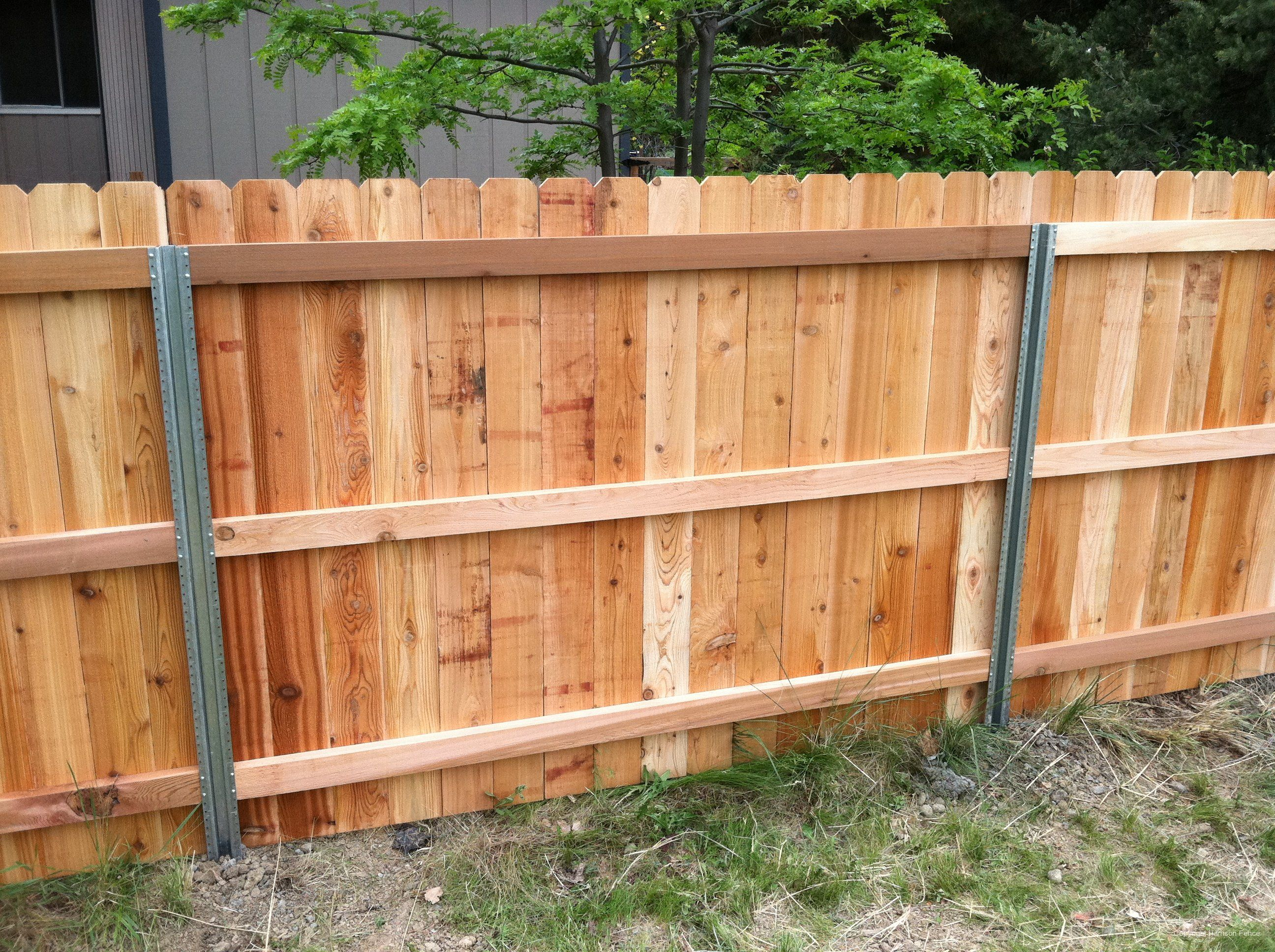 Steel Posts Postmaster With Cedar Privacy Fence Back Side pertaining to size 2592 X 1936