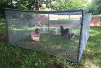 Stunning Portable Chicken Fence Panels pertaining to measurements 1600 X 1200