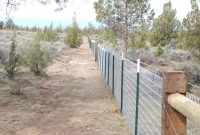 Support Wire On Your T Post Fence Good Fencebad Fence within proportions 2048 X 1536