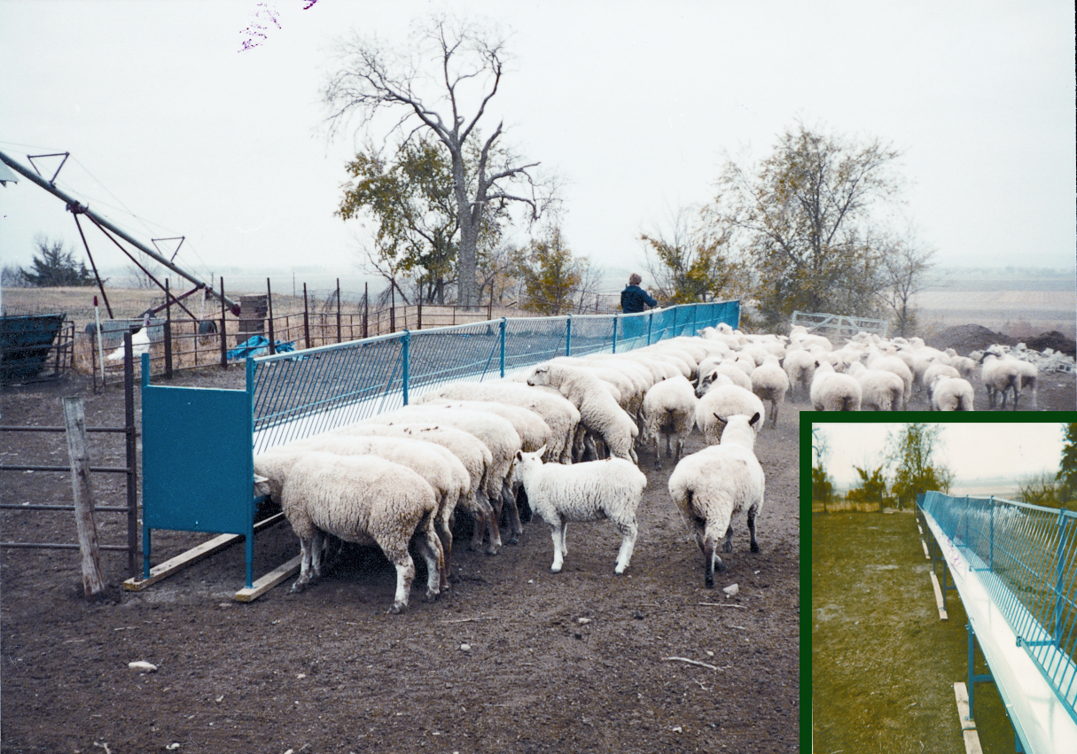 Sydell Sheep Goat Large Haygrain Feeders Hay Racks Mangers throughout size 1215 X 851