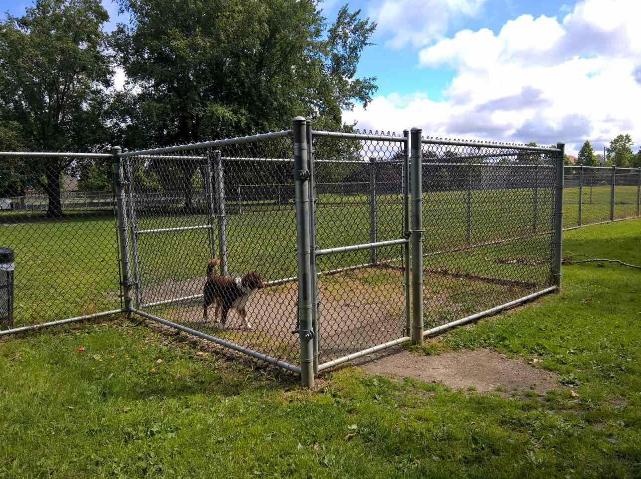 Temporary Dog Fence Outdoor Outdoor Waco Make A Temporary Fence in sizing 1289 X 963