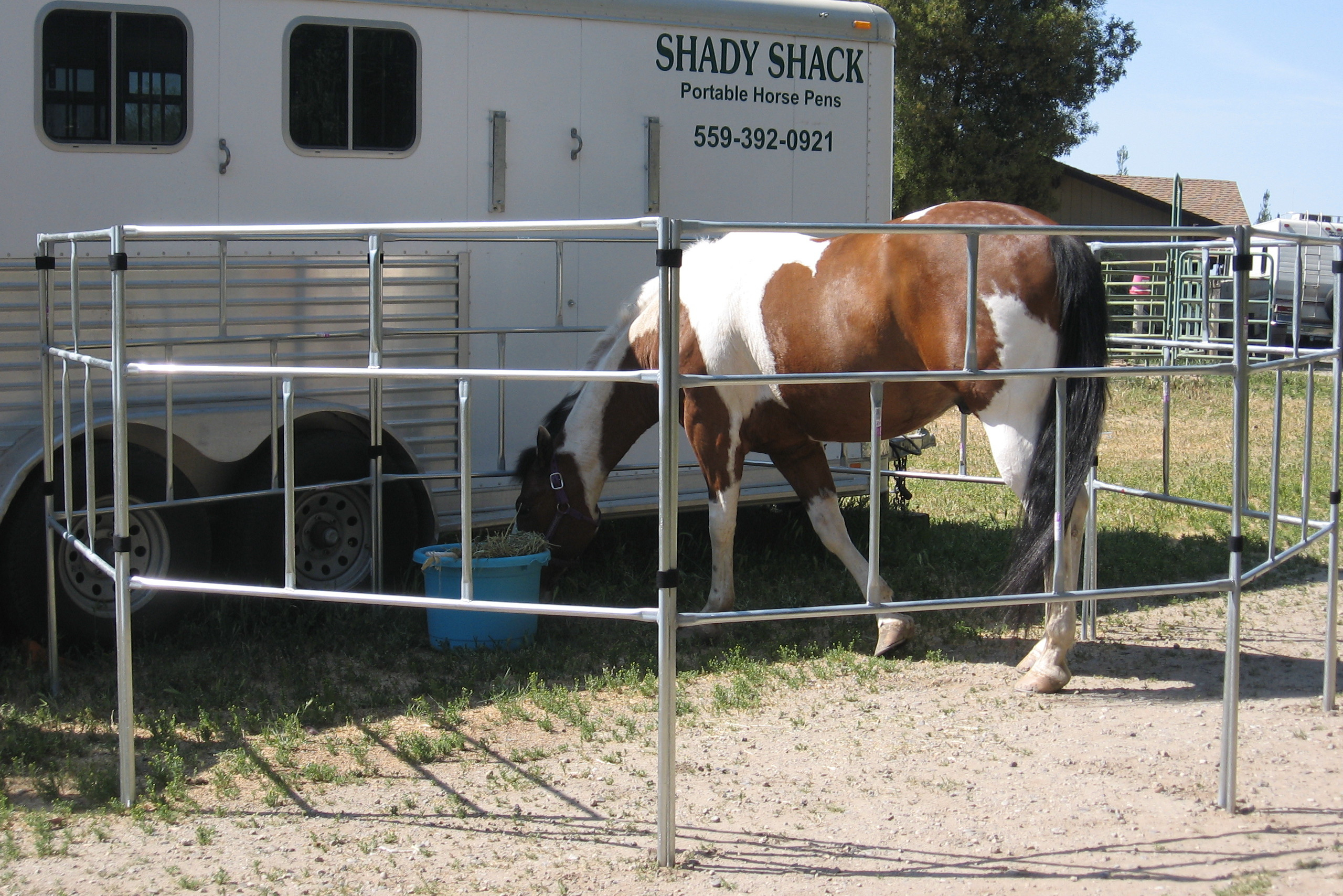 Temporary Horse Fence Panels Fences Design intended for dimensions 2560 X 1708