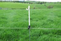 Temporary Sheep Fencing The Options Available 04 November 2017 Premium for measurements 790 X 1054