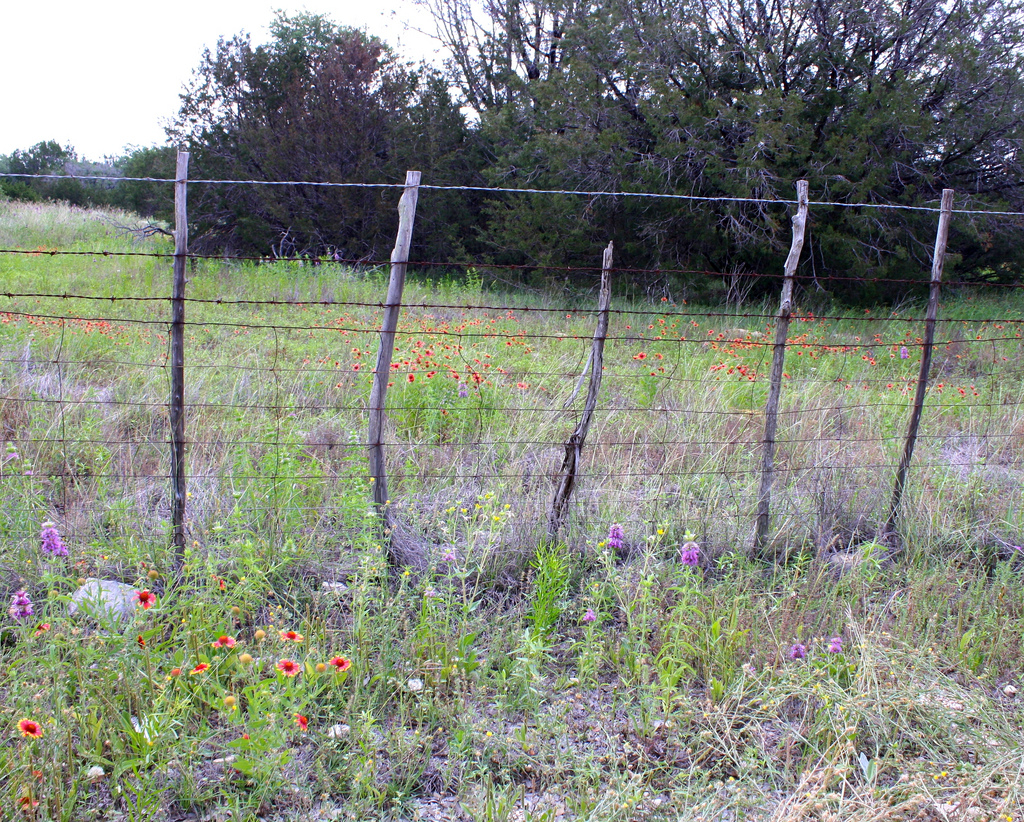 Texas Cedar Post Fence Hff This Hff Fence Is A Cedar Flickr with sizing 1024 X 822