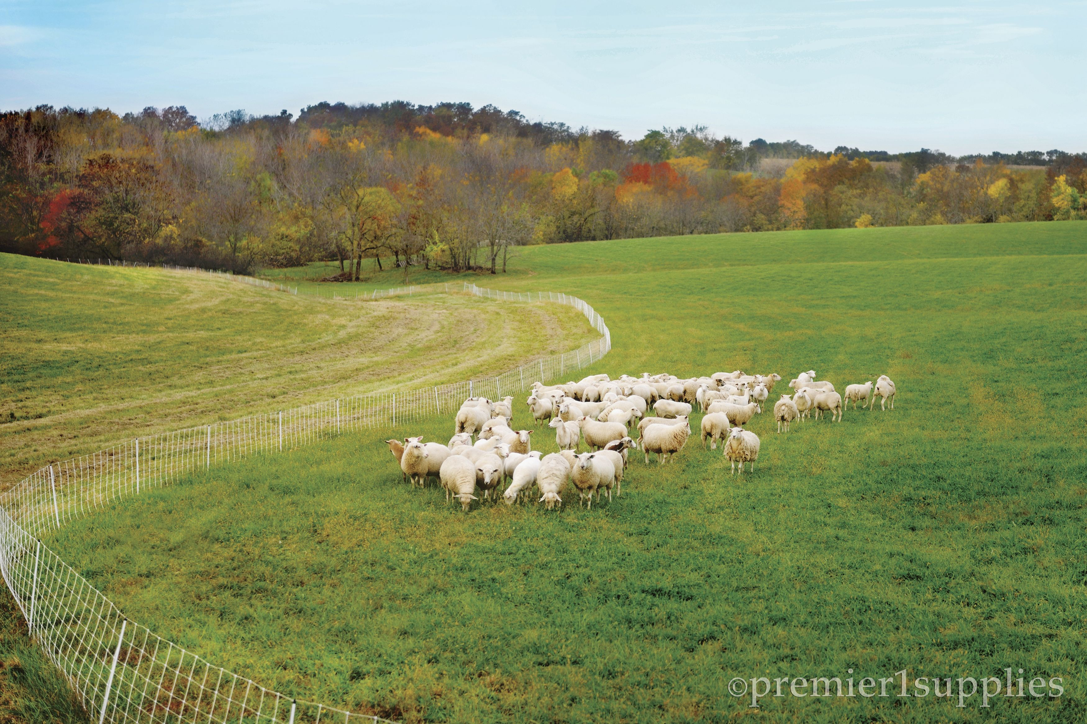 The Beauty Of Fall Is Setting In Here At Premier Around The Farm for sizing 3500 X 2334