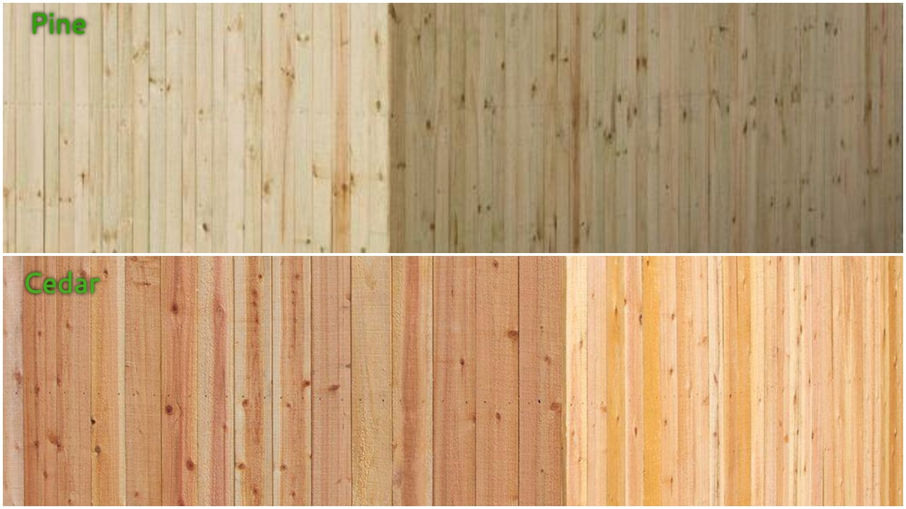 The Difference Between Pressure Treated Pine Fences Vs Cedar Fences throughout dimensions 1280 X 720