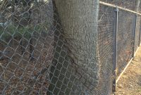This Chain Link Fence Cuts Tree In Half Mildlyinteresting for proportions 2448 X 3264