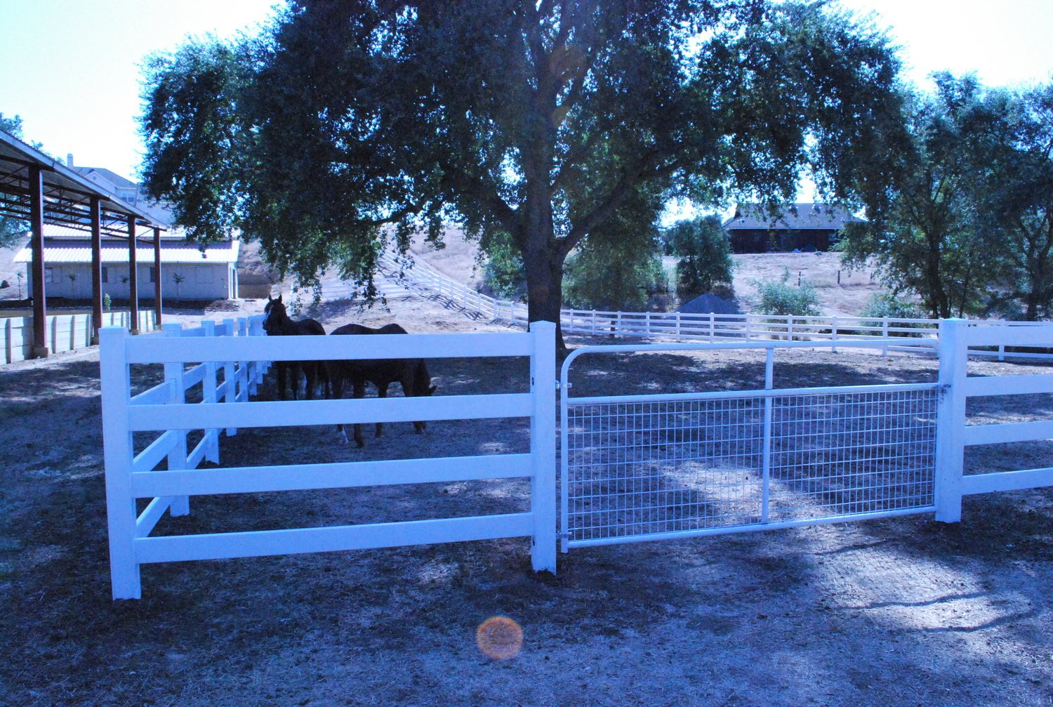 Top Rail Fence Company 916 455 4156 Elk Grove Ca intended for size 1500 X 1007