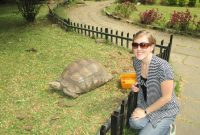 Tortaddiction Visiting Ethiopian Leopard Tortoises In Ethiopia throughout proportions 1600 X 1200
