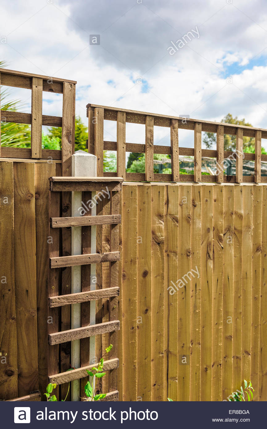 Trellis Fence Stockfotos Trellis Fence Bilder Alamy throughout measurements 865 X 1390