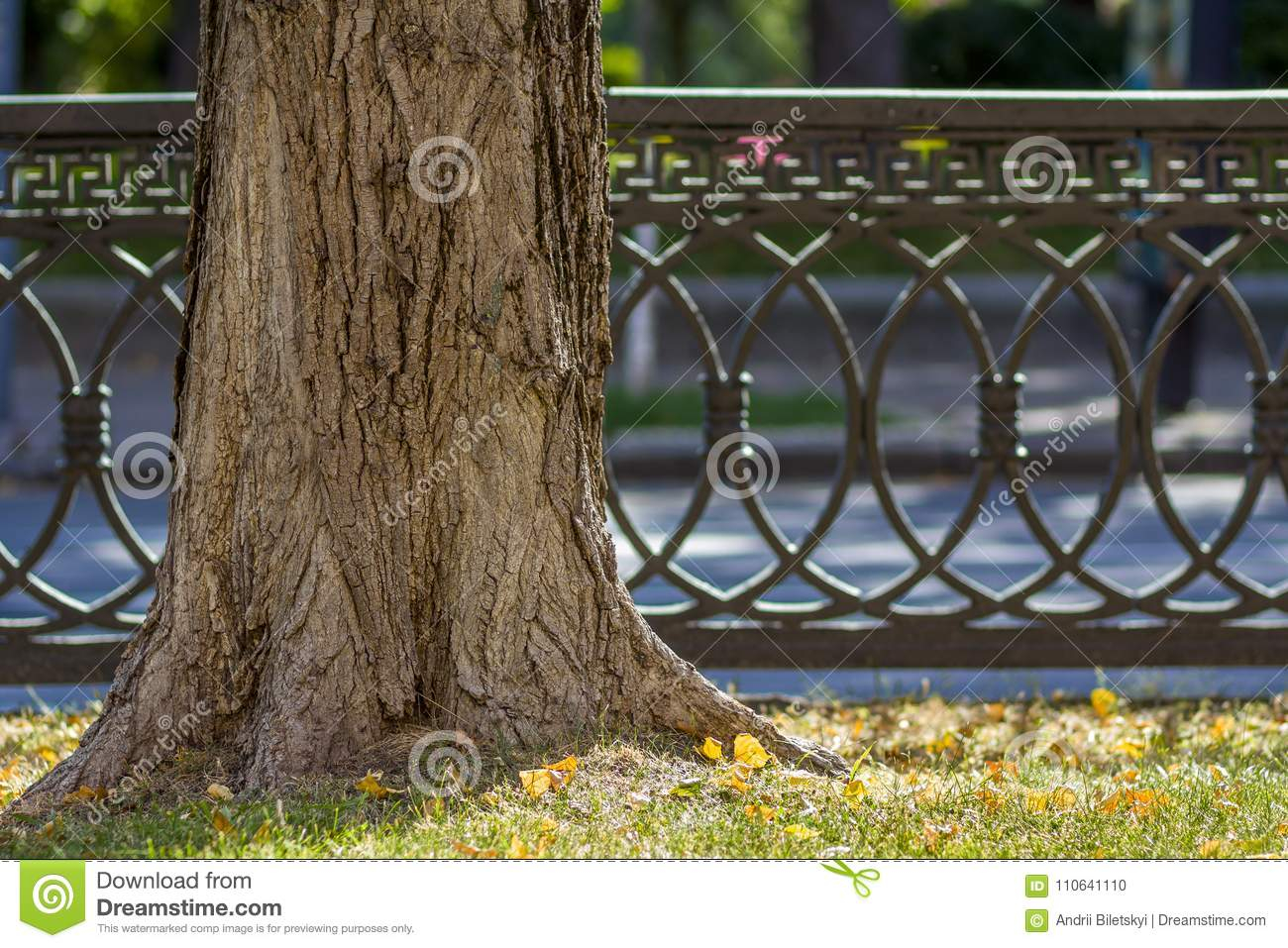 Trunk Of A Tree In A Morning Sunlight Park Near Old Rusted Metal regarding dimensions 1300 X 957