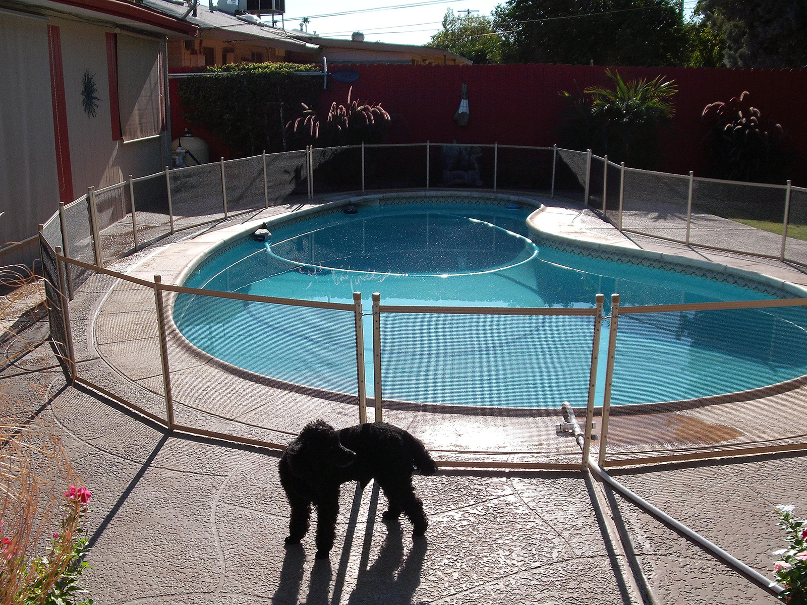 Tucson Pool Safety Fence Tucson Pool Fence Llc with size 1600 X 1200