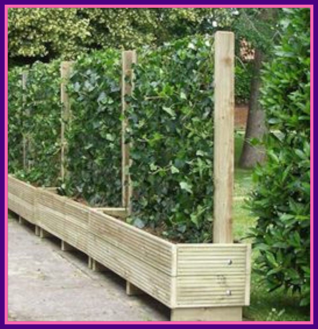 Unbelievable Diy Garden Fence Ideas To Keep Your Plants Fencing Of inside sizing 1040 X 1074