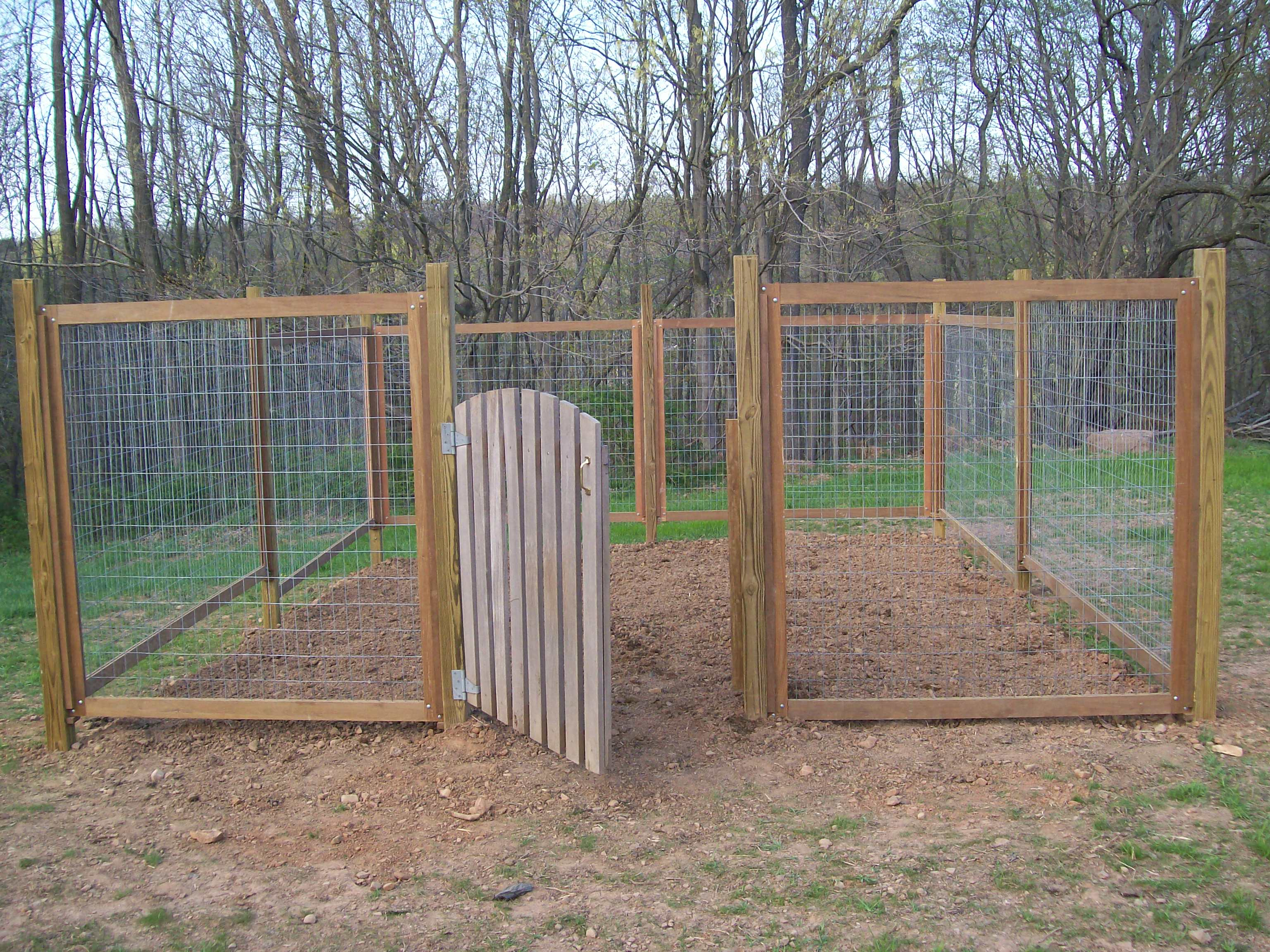 Vegetable Garden Fence Ideas Hawk Haven inside measurements 3072 X 2304