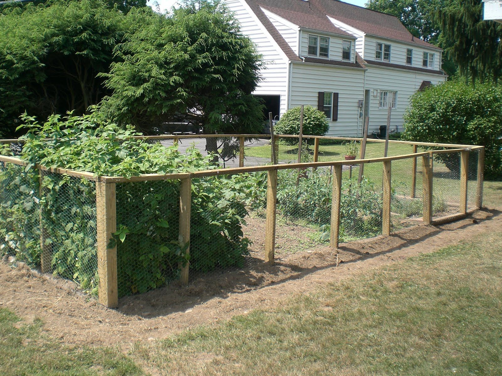 Vegetable Garden Fence Ideas Vegetable Garden Fencing Home for measurements 1600 X 1200