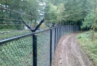 Vinyl Coated Chainlink Fences with sizing 1280 X 960