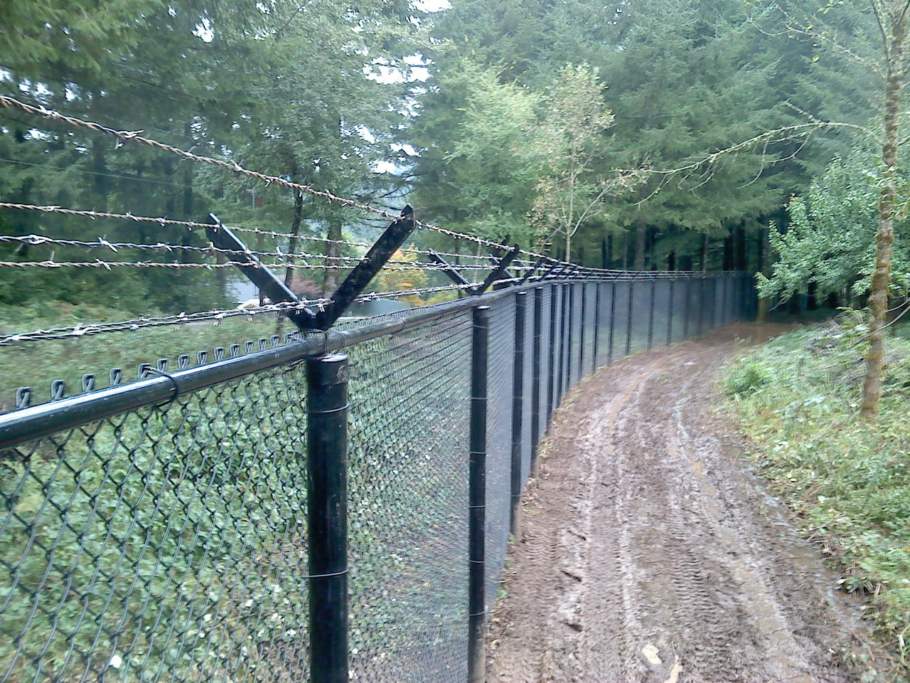 Vinyl Coated Chainlink Fences with sizing 1280 X 960