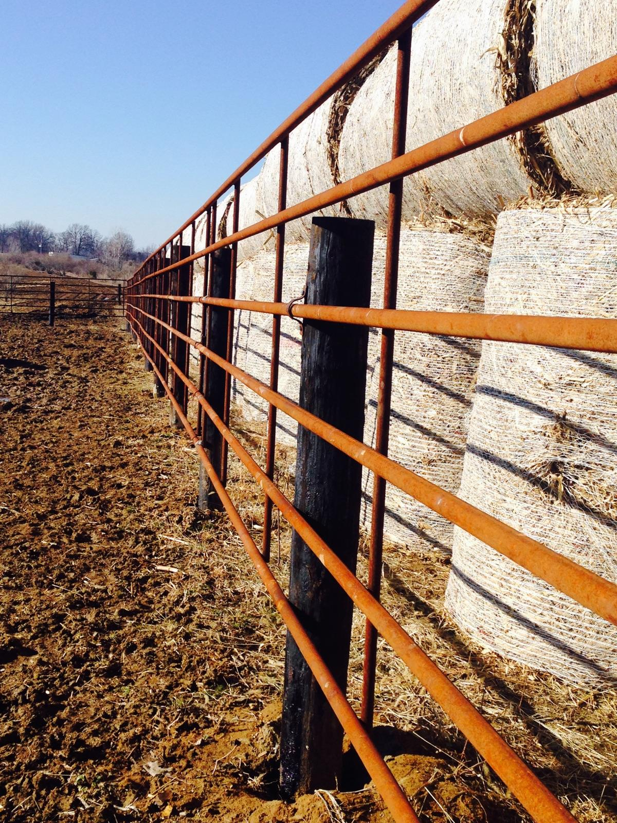 Wagner Cattle Llc Gates intended for proportions 1200 X 1600