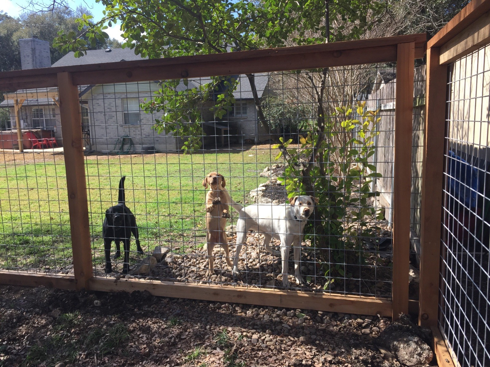 Welded Wire Fence City Fence Co Of San Antonio intended for size 1600 X 1200