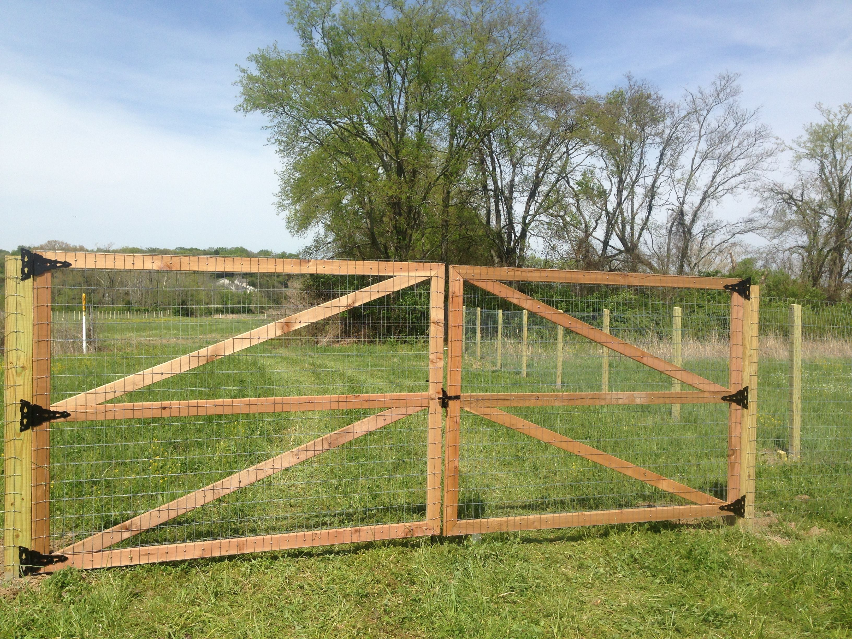 Welded Wire Fence With Wooden Posts Google Search Fencing regarding measurements 3264 X 2448