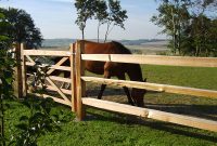 Western Red Cedar Split Rail Fence Rails Hoover Fence Co regarding proportions 1000 X 1000