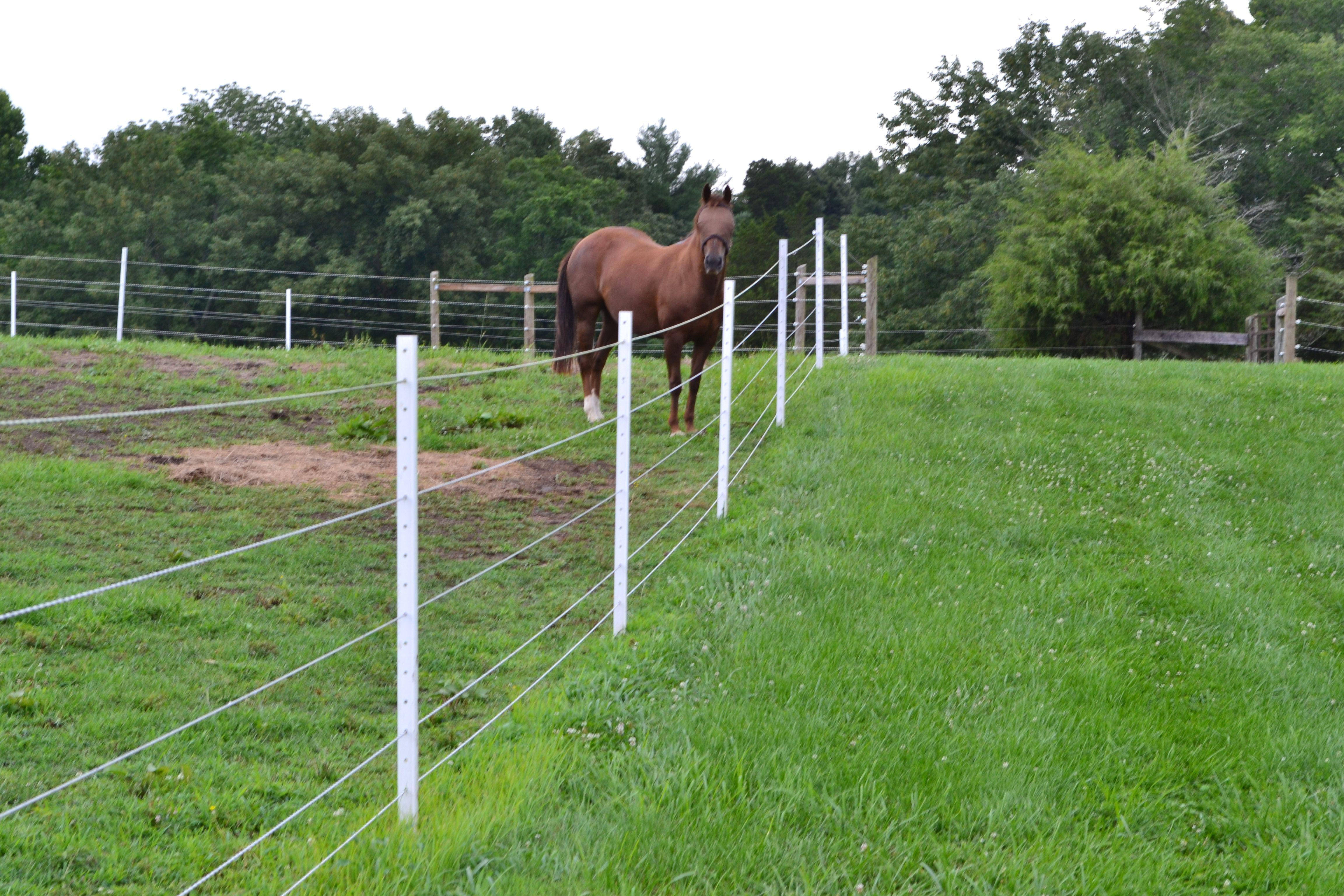 Which Fence System Is Right For Your Horses with regard to measurements 4608 X 3072