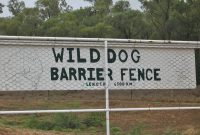 Wild Dog Barrier Fence Augathella Area Queensland Aust Flickr throughout measurements 1024 X 768