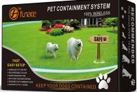 Wireless Dog Fence Reviews Best Invisible Dog Fence For 2018 with proportions 1024 X 805