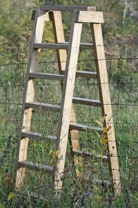 Wood Ladder Wooden Ladder Decking And Fences with size 1067 X 1600