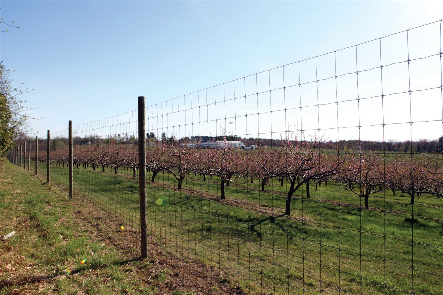 Woven Wire Riverside Fence regarding size 1500 X 1000