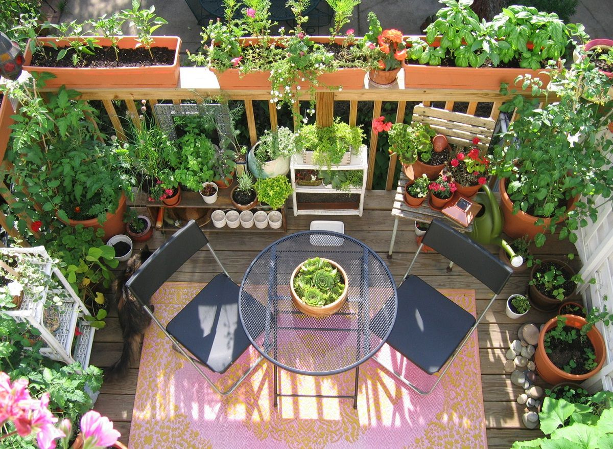 11 Deck Vegetable Garden Ideas To Grow More In Less Space for measurements 1200 X 878