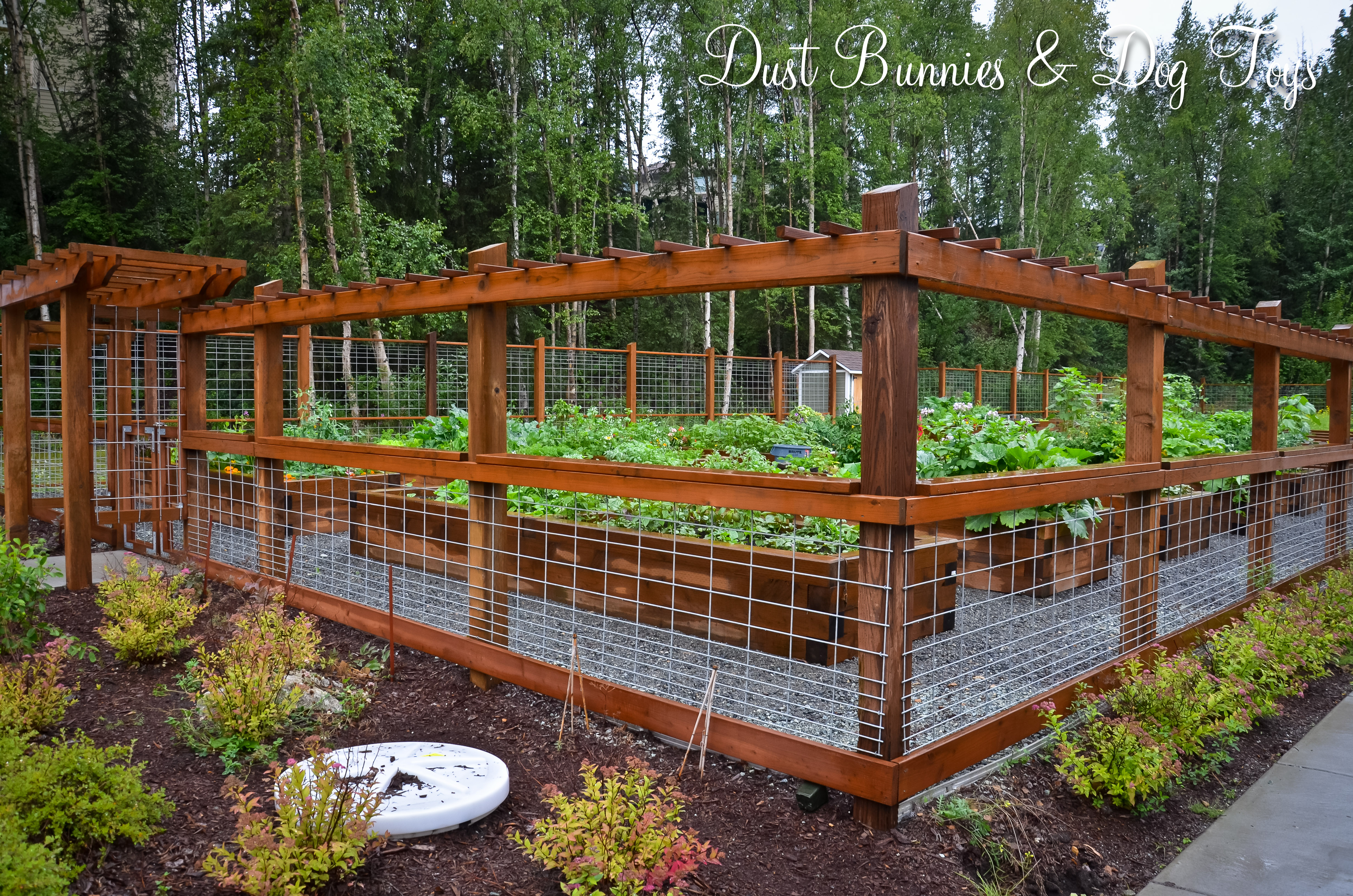 15 Super Easy Diy Garden Fence Ideas You Need To Try regarding dimensions 4928 X 3264