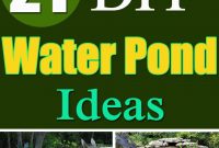 21 Diy Water Pond Ideas Diy Water Gardens For Backyards regarding proportions 736 X 1740