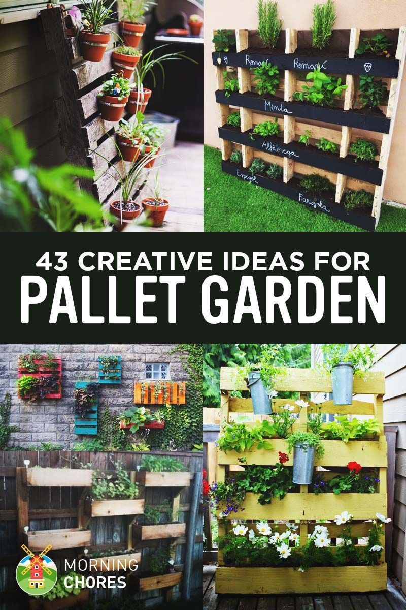 43 Gorgeous Diy Pallet Garden Ideas To Upcycle Your Wooden intended for size 800 X 1200
