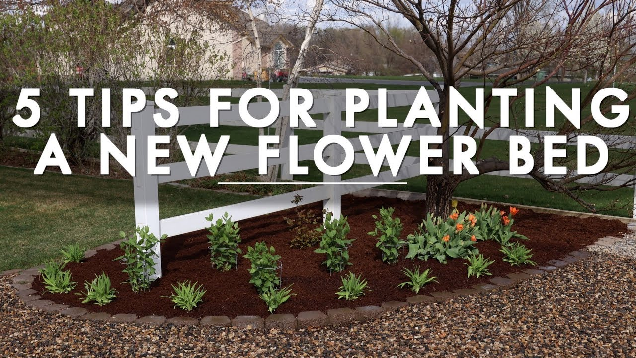 5 Tips For Planting A New Flower Bed Garden Answer regarding proportions 1280 X 720