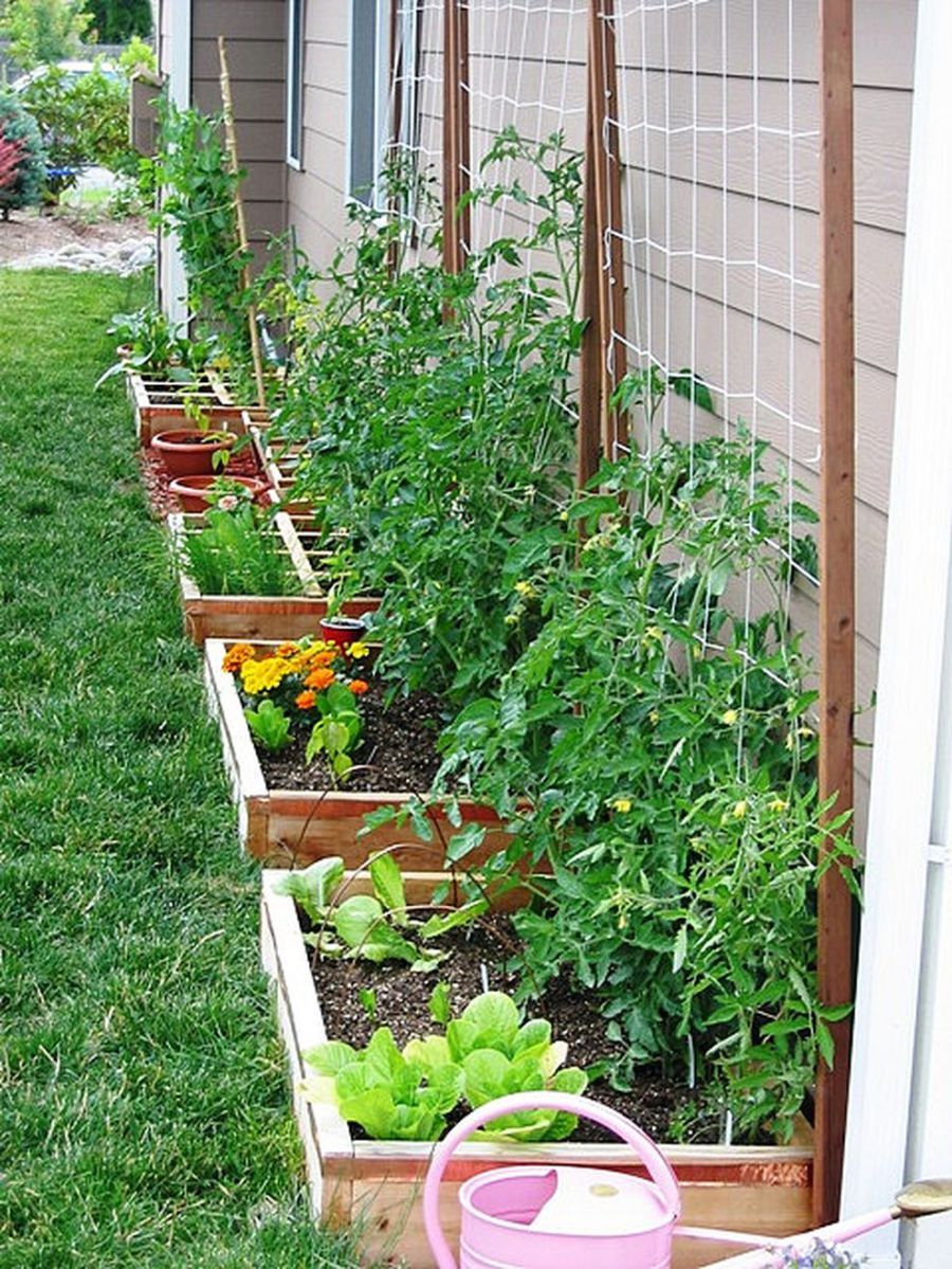 62 Affordable Backyard Vegetable Garden Designs Ideas in size 900 X 1199