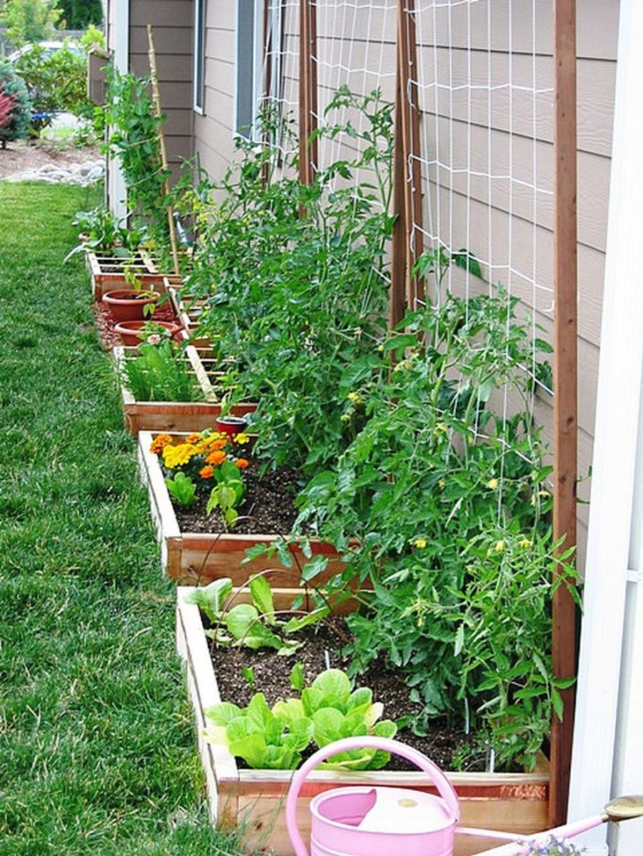 62 Affordable Backyard Vegetable Garden Designs Ideas inside dimensions 900 X 1199